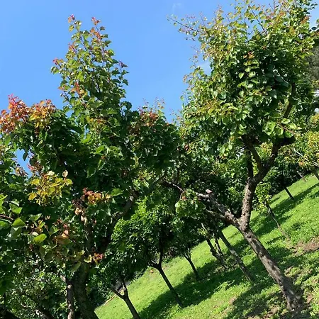 L'antica Stabia B&B 카스텔라마레디스타비아
